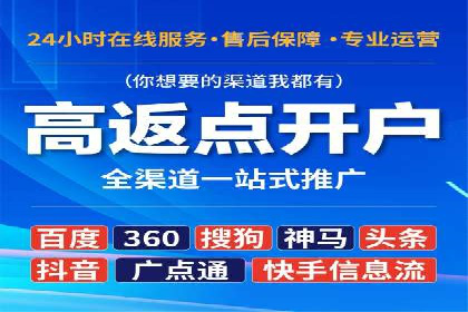 SEO技术突破：某网站流量暴增的背后故事
