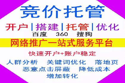 知名SEM服务公司成功案例分享